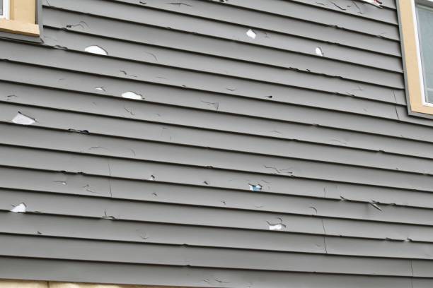 Best Siding Removal and Disposal  in Zephyrhills West, FL