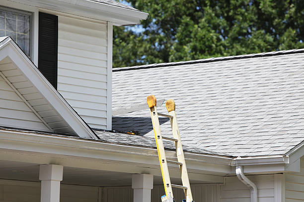 Best Vinyl Siding Installation  in Zephyrhills West, FL